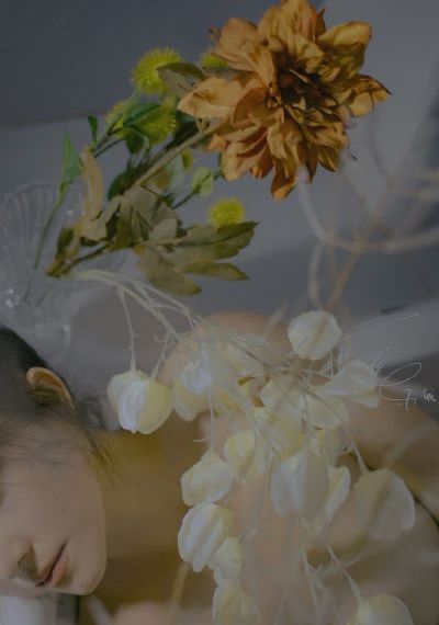 少女动漫在线观看高清完整版动漫